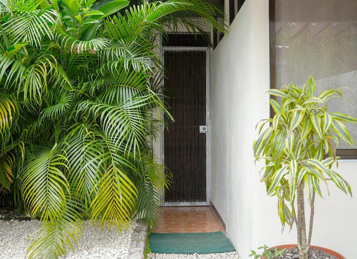 Apartamentos Y Studios Brisas Del Mar Santa Teresa Playa Santa Teresa  Екстер'єр фото