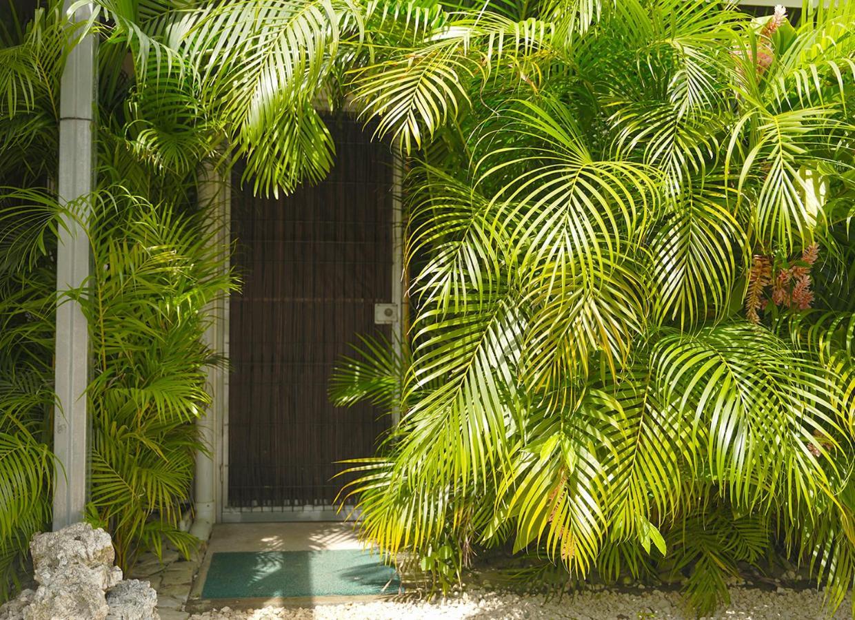 Apartamentos Y Studios Brisas Del Mar Santa Teresa Playa Santa Teresa  Екстер'єр фото